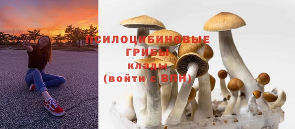 наркотики Медвежьегорск