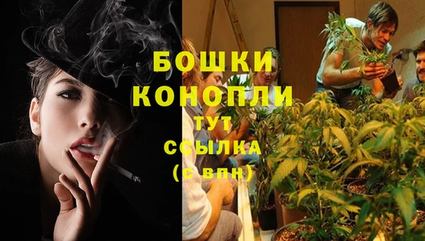 apvp Медногорск