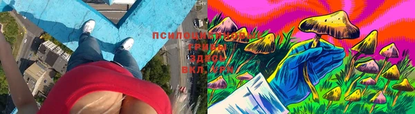 наркотики Медвежьегорск