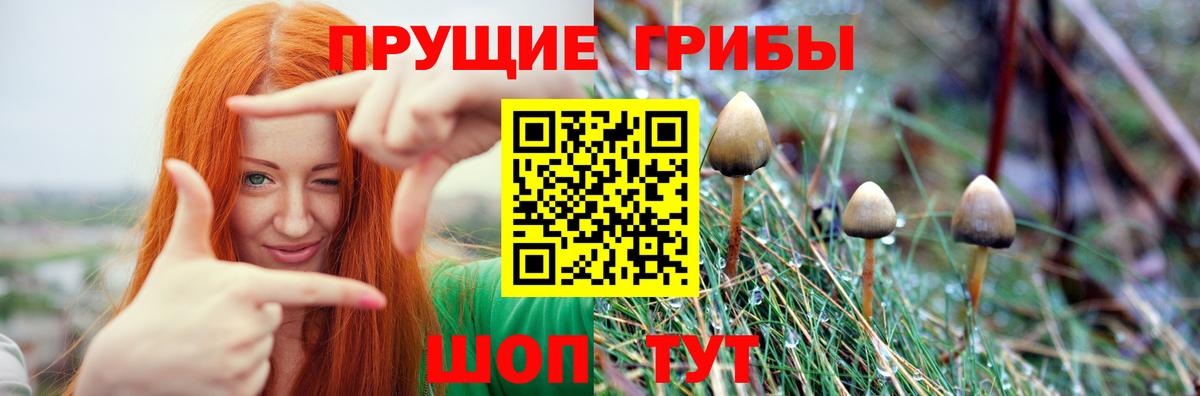 Псилоцибиновые грибы Magic Shrooms  Вход с VPN  Чапаевск 